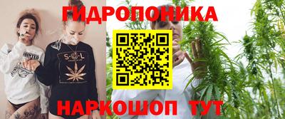 крисы Свободный