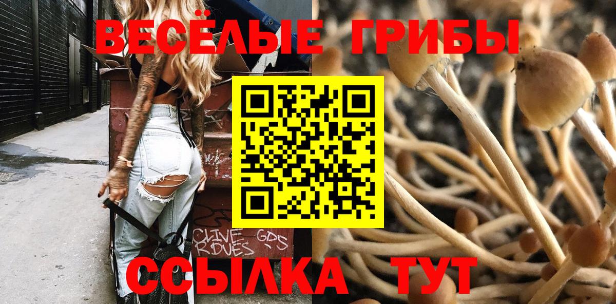 Псилоцибиновые грибы GOLDEN TEACHER Сибай